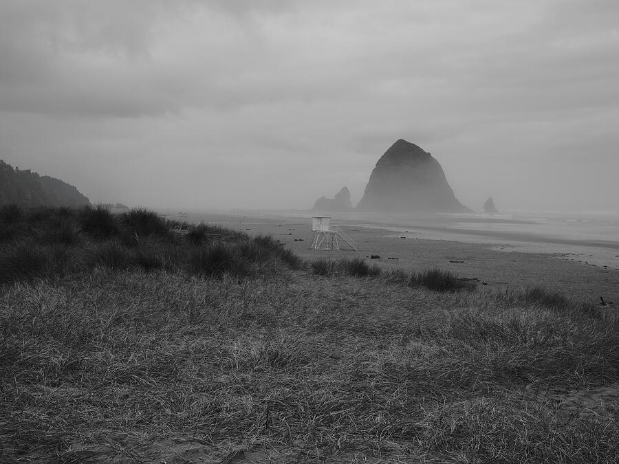 Coastal grass and a distant sea stack disappear into mist at Cannon Beach, in black and white.