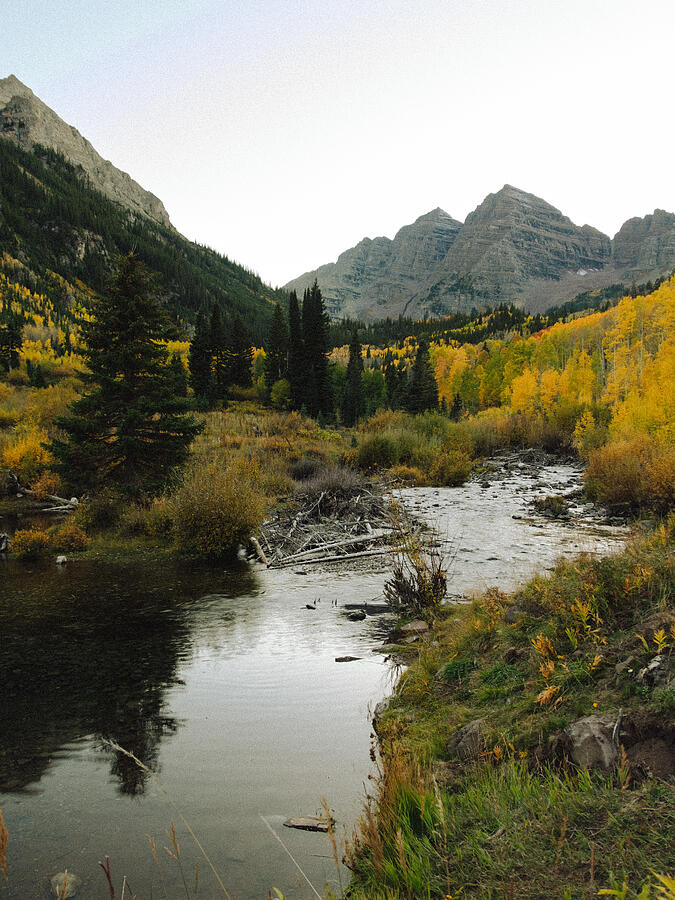 A mountain stream curves through golden autumn foliage beneath rugged peaks.