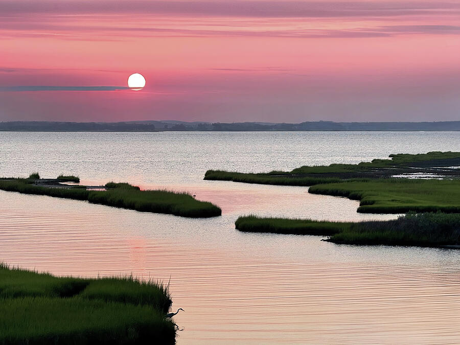 The last light of the day settles over quiet marshland.
