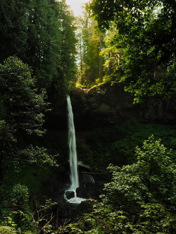 A slender waterfall drops into a shaded pool surrounded by green forest.